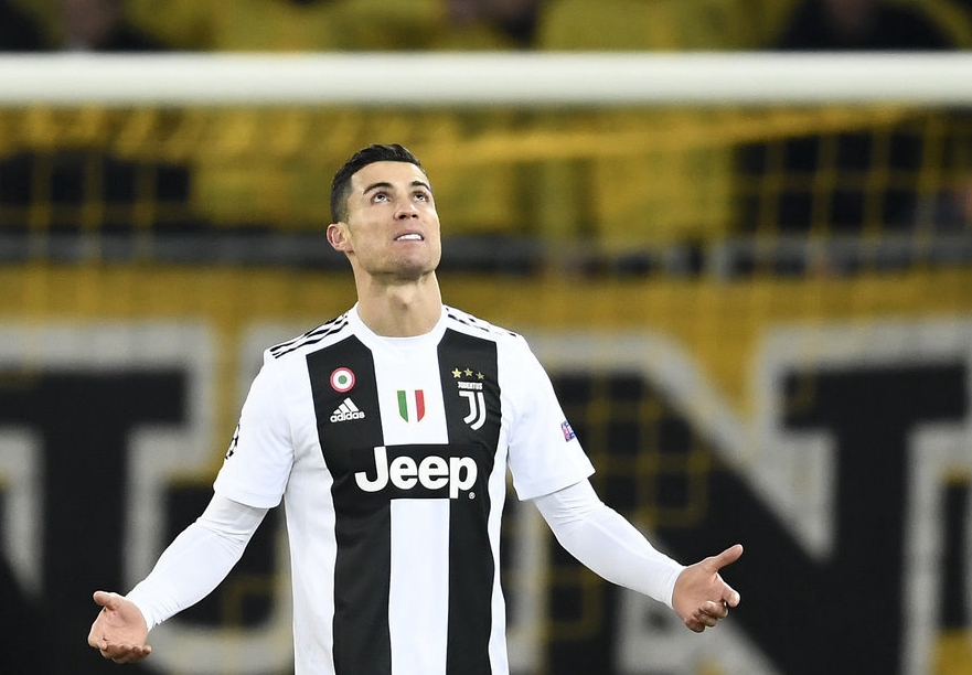 能与布鲁诺 能与布鲁诺